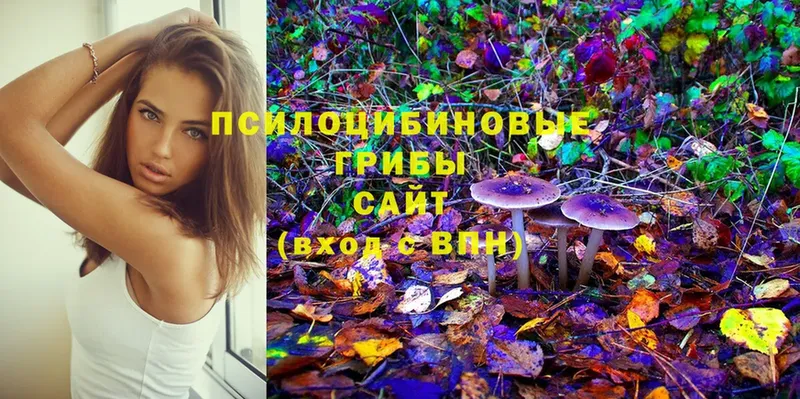 Галлюциногенные грибы Magic Shrooms  что такое   Обнинск 